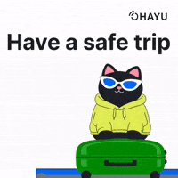 Cat Flying GIF by Ohayu eSIM