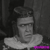 the munsters horror tv GIF by absurdnoise