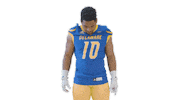 mean delaware football Sticker by Delaware Blue Hens