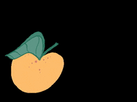 hellosongtea tangerine hellosongtea GIF