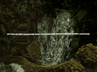 Fun Party GIF by FranchiseONE.de