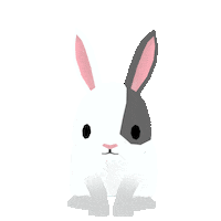 Bunny Rabbit Sticker