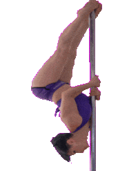 trainingshoesaerial pole poledance acrobatic polesport Sticker