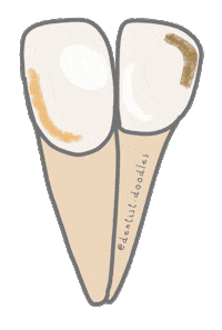 Teeth Tooth Sticker