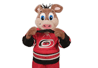 Ice Hockey Sticker by NHL