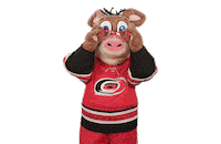Ice Hockey Sticker by NHL