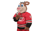 Ice Hockey Sticker by NHL