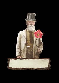 Cognac Vii GIF by Maison Ferrand