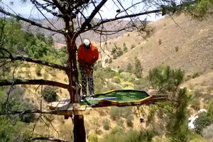 Extreme Golf Course Puts Hole in a Tree