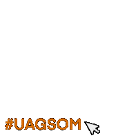 UAGSOM  Sticker