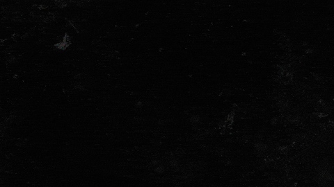 djripm giphyupload GIF