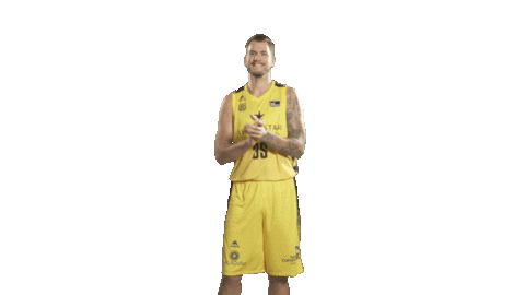 Liga Endesa Basketball Sticker by ACB