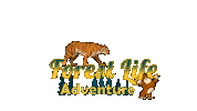 ForestLife forestlife forestlifeadventure Sticker