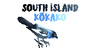New Zealand Bird Sticker by Re:wild