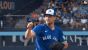 Yell Blue Jays GIF by Toronto Blue Jays