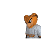 Ncaa Mascot Sticker by Rowan University