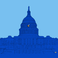 Kamala For President GIF