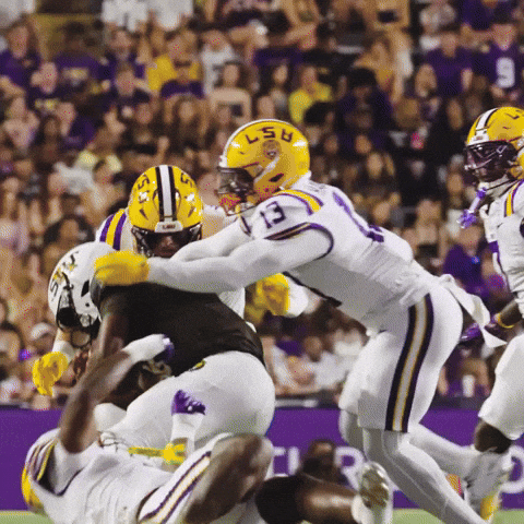 College Football GIF by LSU Tigers