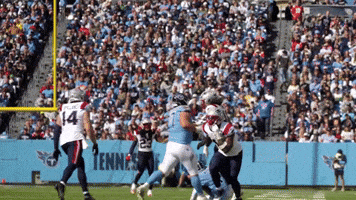 Football Celebration GIF by New England Patriots