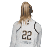 Notre Dame Jump Sticker by Notre Dame Fighting Irish