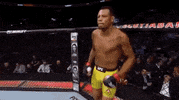 ufc 231 sport GIF by UFC