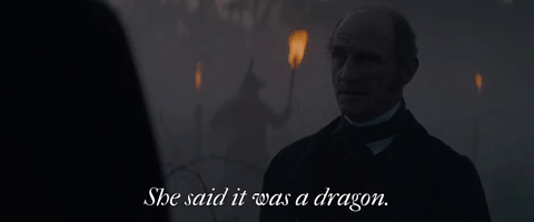 She Said It Was A Dragon 