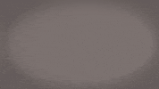 Womens Basketball GIF by Cal State LA Golden Eagles
