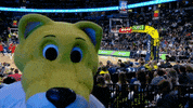 Excited Regular Season GIF by NBA