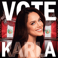 Miss Universe Art GIF