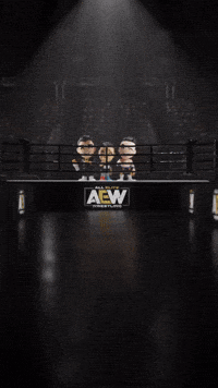 Wwe Wrestling GIF by Youtooz