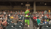 homerthedragon baseball fall dragon trip GIF