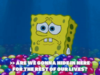 season 6 episode 20 GIF by SpongeBob SquarePants
