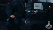 ice hockey sport GIF by NHL