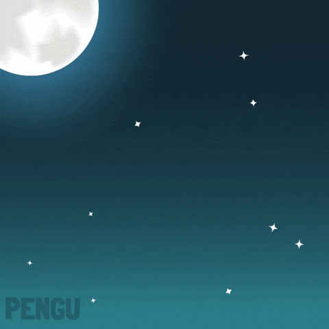 Flying Witch GIF by Pudgy Penguins