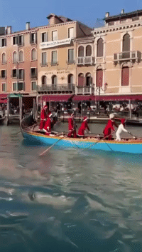 Christmas Regatta Brings Color to Venice