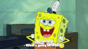 season 9 GIF by SpongeBob SquarePants