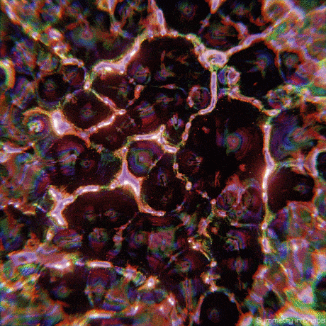 symmetryinchaos 3d wave organic blender GIF