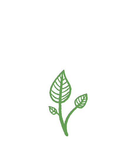 Plant Growing Sticker