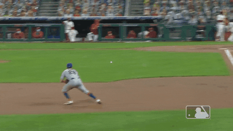 Ny Mets Mlb GIF by New York Mets