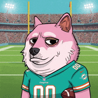 Miami Dolphins Football GIF by Doge Pound