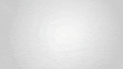 ku business GIF by University of Kansas School of Business