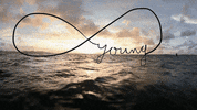word love GIF