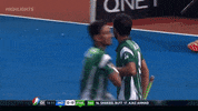 field hockey india vs pakistan GIF by bypriyashah