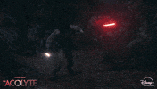 The Stranger Osha GIF by Star Wars