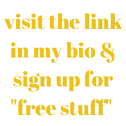 rayofsocial link in bio free stuff link in my bio ray of social Sticker