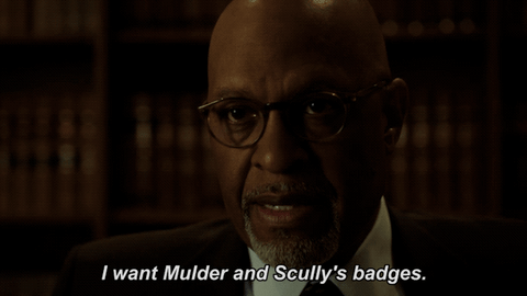 scully believe GIF by The X-Files