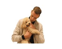 emmalead pip onlinemarketing toypoodle leadlogic Sticker