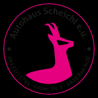 Pink Mountain GIF by Autohaus Scheichl