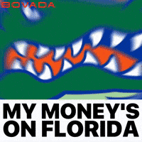 Florida Gators GIF by Bovada