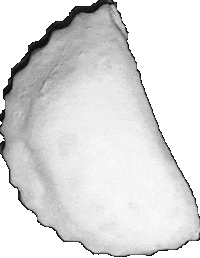 Almond Cacao Sticker by Dolc'è cassatelle di Agira